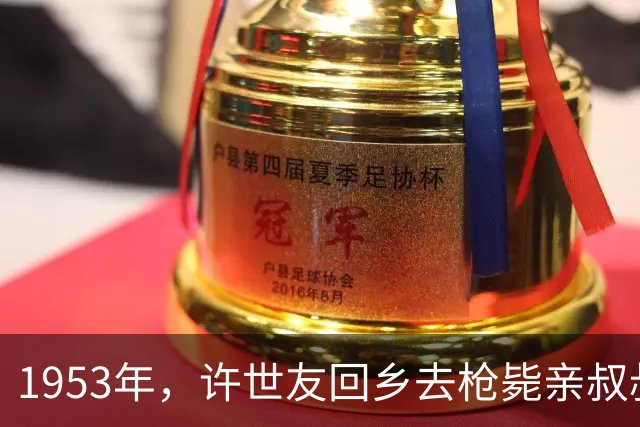 1953年，许世友回乡去枪毙亲叔叔，见母亲落泪，他收枪了，后续呢